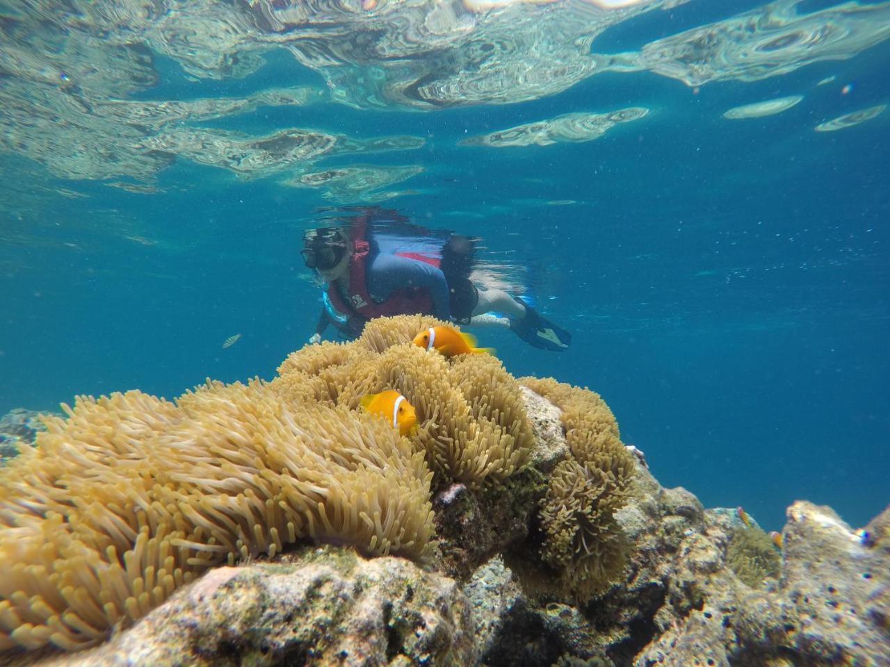 Zeestar Inn Maafushi Kültér fotó