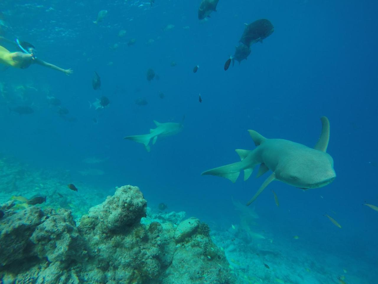 Zeestar Inn Maafushi Kültér fotó